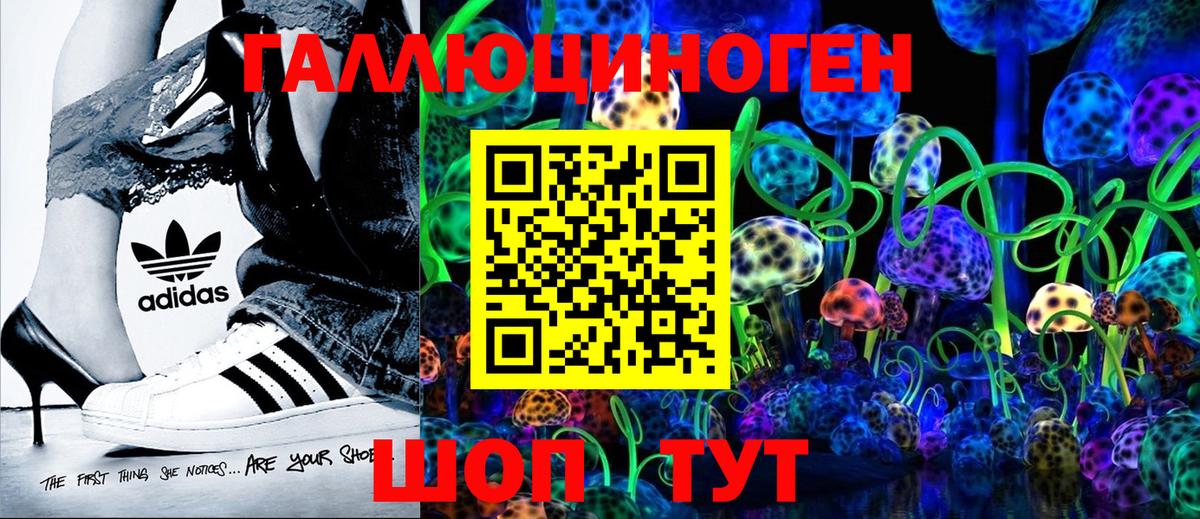 Избербаш  Псилоцибиновые грибы Cubensis  Вход с VPN 