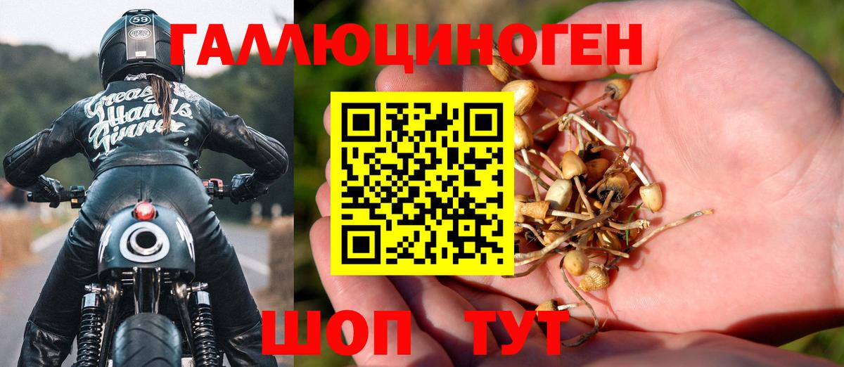 Псилоцибиновые грибы Cubensis Избербаш